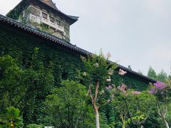-南京大学游泳馆