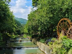 -广州白江湖森林公园