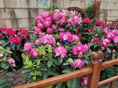 -苏州上方山国家森林公园