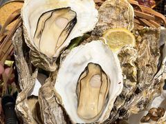 -新鞑烤羊腿(康平路店)