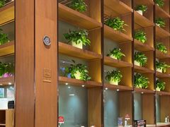 -西贝(华发商都店)