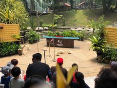 -吉隆坡雀鸟公园