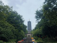 -宜兴龙背山森林公园