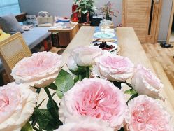 -卡莫瑜伽·普拉提