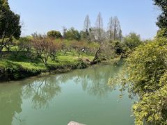 -西溪国家湿地公园