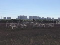 -伦敦桥西餐·养生粤菜
