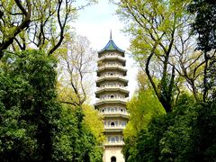 -灵谷景区