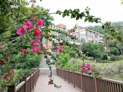 -张坝桂圆林公园