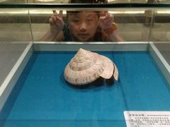 -青岛贝壳博物馆