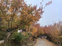 -国家植物园南园