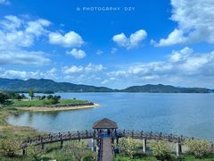 -四明山国家森林公园