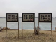 -丁香湖公园