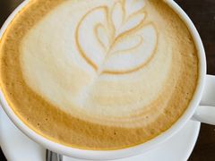 -Cappucimeow猫咪咖啡馆(韦伯时代店)