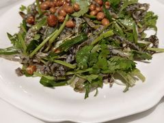 -张记旺角食街(动物园店)