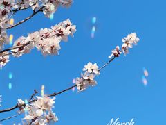 -瀛海足球主题公园