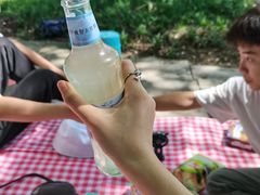 -桤木河湿地公园