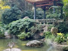 -广州兰圃