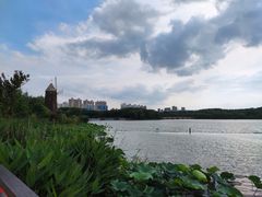 -昆山城市生态森林公园