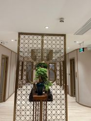 -HQ半永久纹绣纹眉