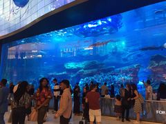 -迪拜水族馆及水下动物园