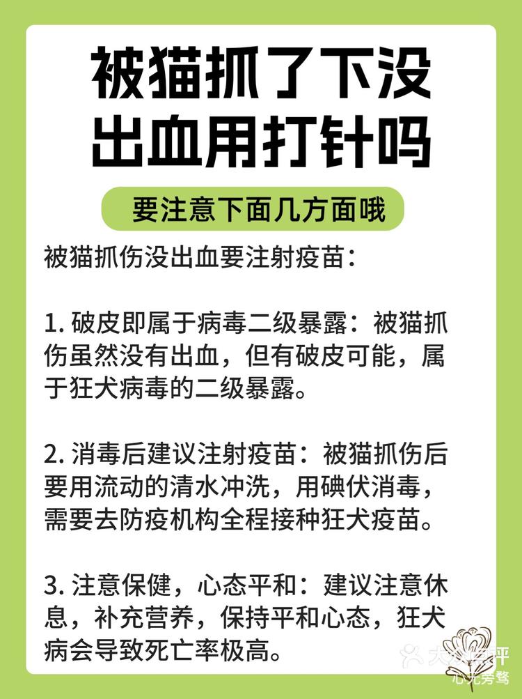 猫肌肉注射教程图片