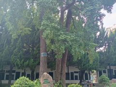 -苏州文庙(姑苏区)