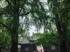 -三苏祠