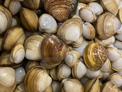 -启东黄金海滩景区