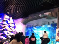 -华夏文旅海洋公园