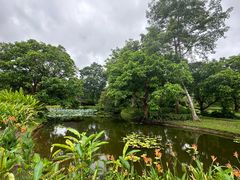 -中国科学院西双版纳热带植物园