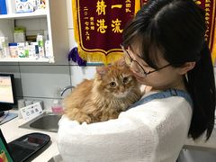 -西安京西宠物医院·瘫痪·疑难杂症