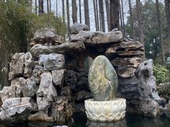 -上海醉白池公园