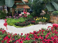 -石家庄市植物园