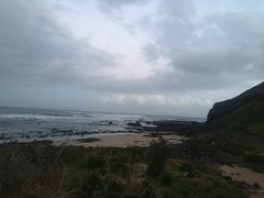 -企鹅岛