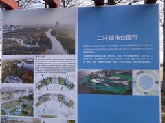-春花秋色城市公园