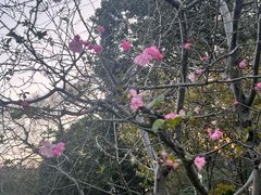 -浙江西子宾馆·瑶园咖啡厅