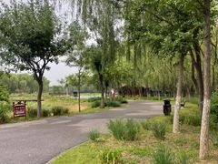 -东郊湿地公园