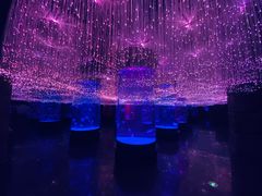 -哈尔滨波塞冬海底世界
