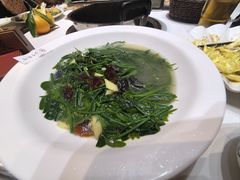 上汤树仔菜-红日饭店(裕隆三路店)