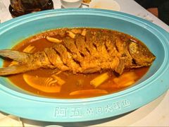 红烧黄河鲤鱼-阿五黄河大鲤鱼(英协路店)