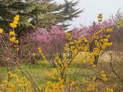 -国家植物园南园