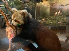 -陕西自然博物馆