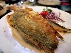 -马迭尔德式西餐精酿啤酒屋(中央大街店)