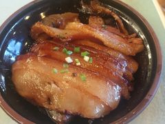 -食家鸽园