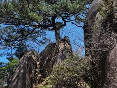 -黄山风景区