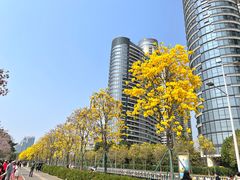 -洲头咀公园
