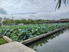-石塘人家