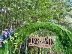 -龙湾潭国家森林公园