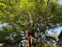 -杨家埠民间艺术大观园