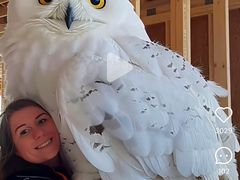 -DQ·蛋糕·冰淇淋(五棵松万达店)